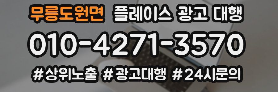 무릉도원면 플레이스 광고 대행