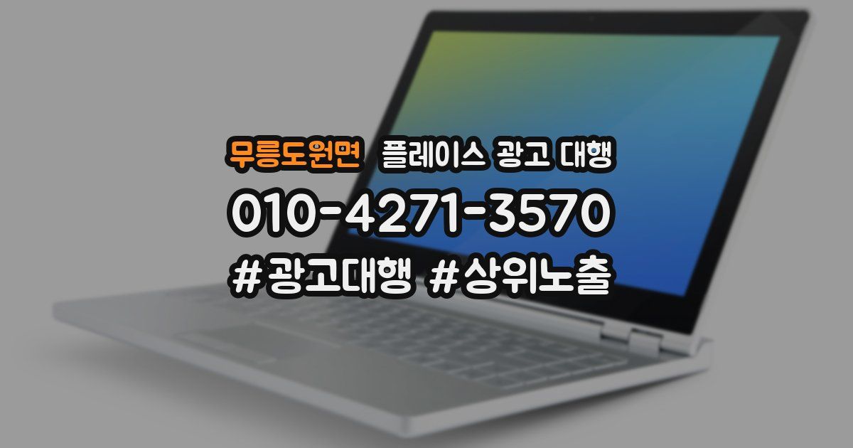무릉도원면 플레이스 광고 대행