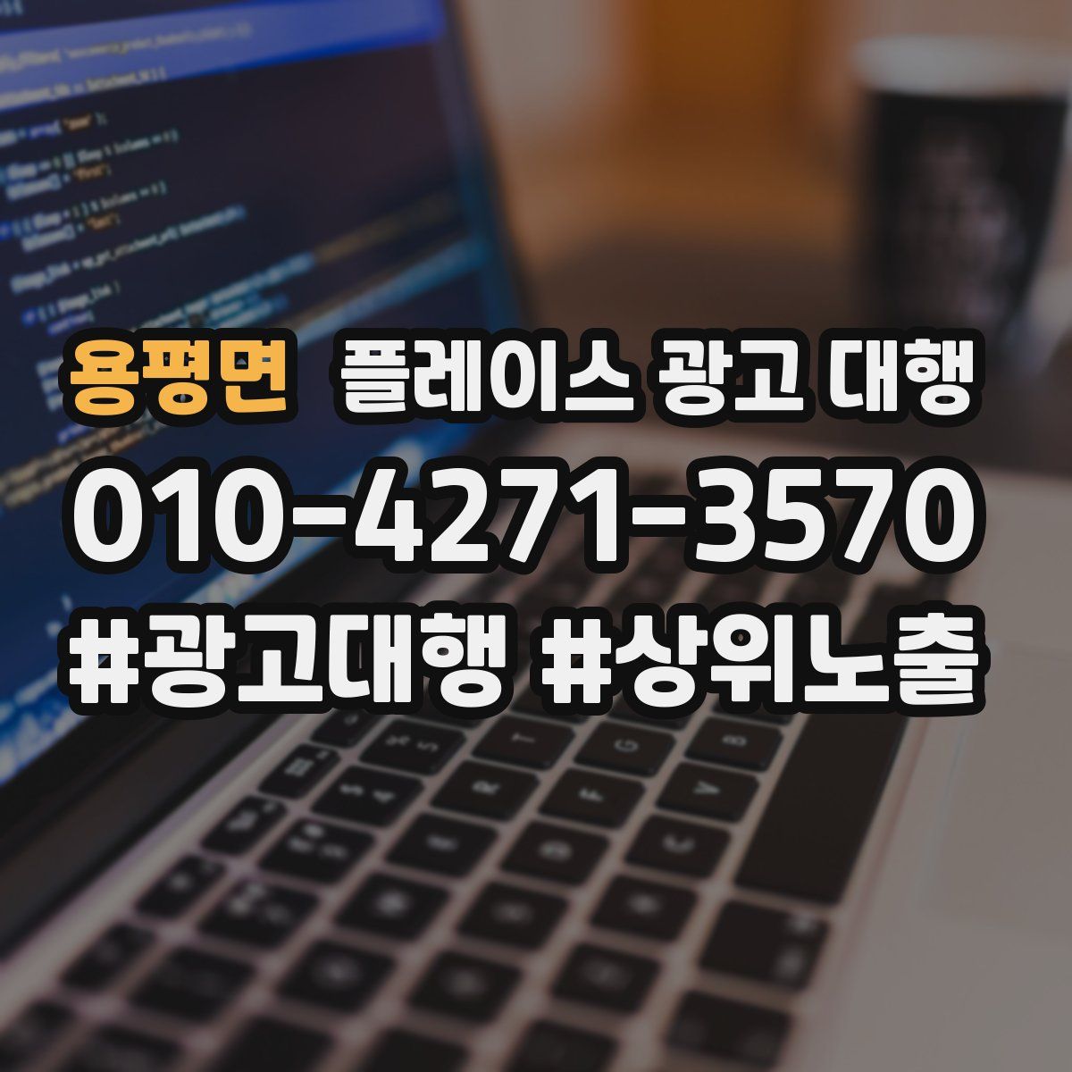 용평면 플레이스 광고 대행