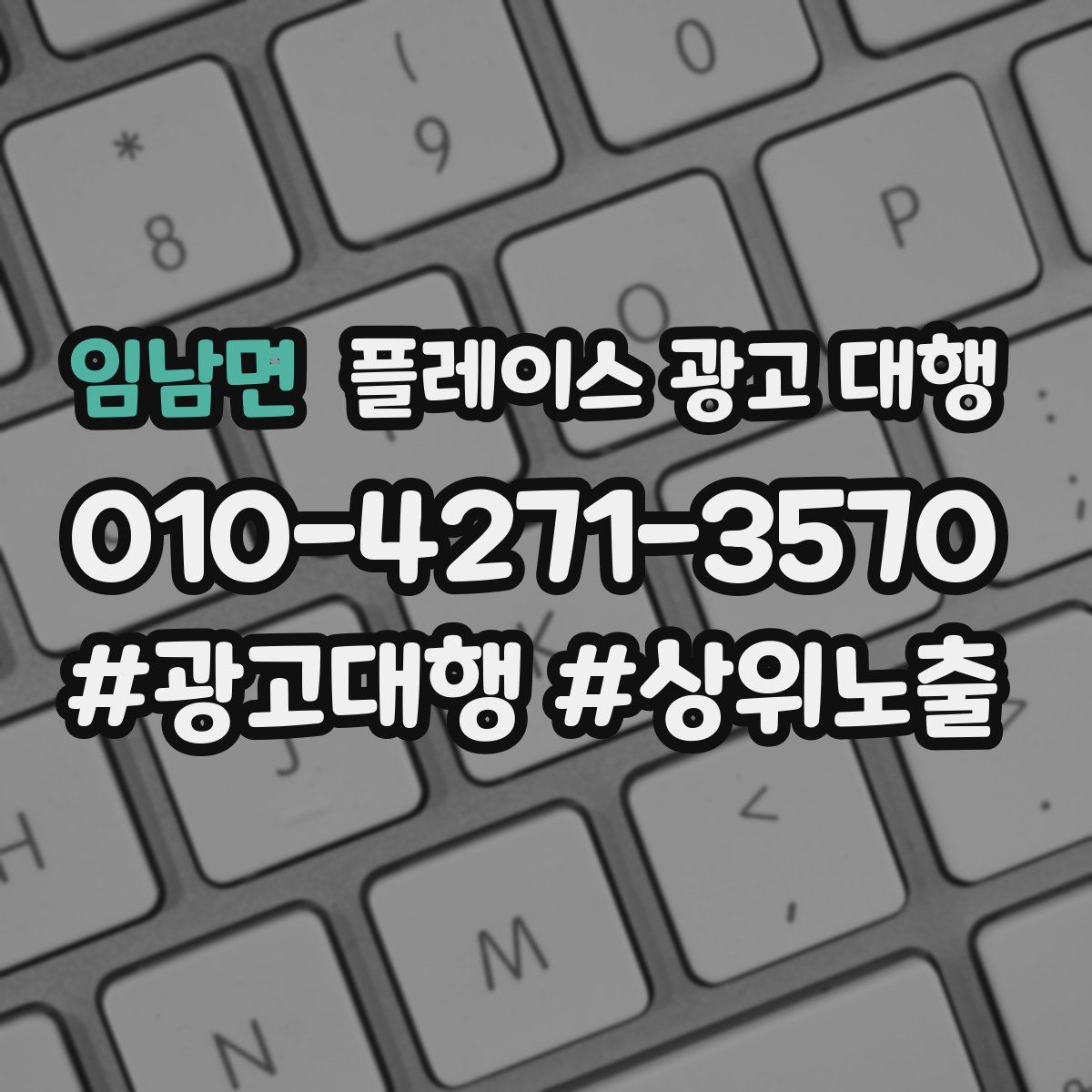 임남면 플레이스 광고 대행