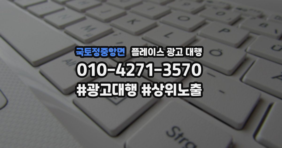 국토정중앙면 플레이스 광고 대행