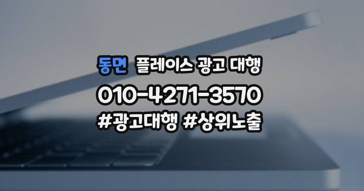 동면 플레이스 광고 대행