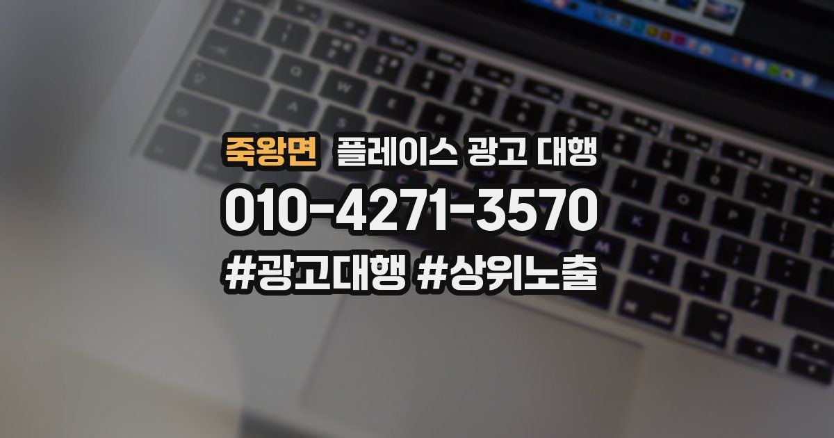 죽왕면 플레이스 광고 대행