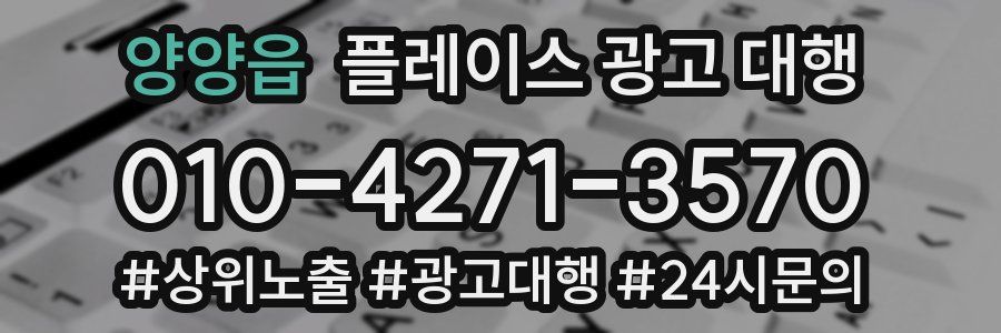 양양읍 플레이스 광고 대행
