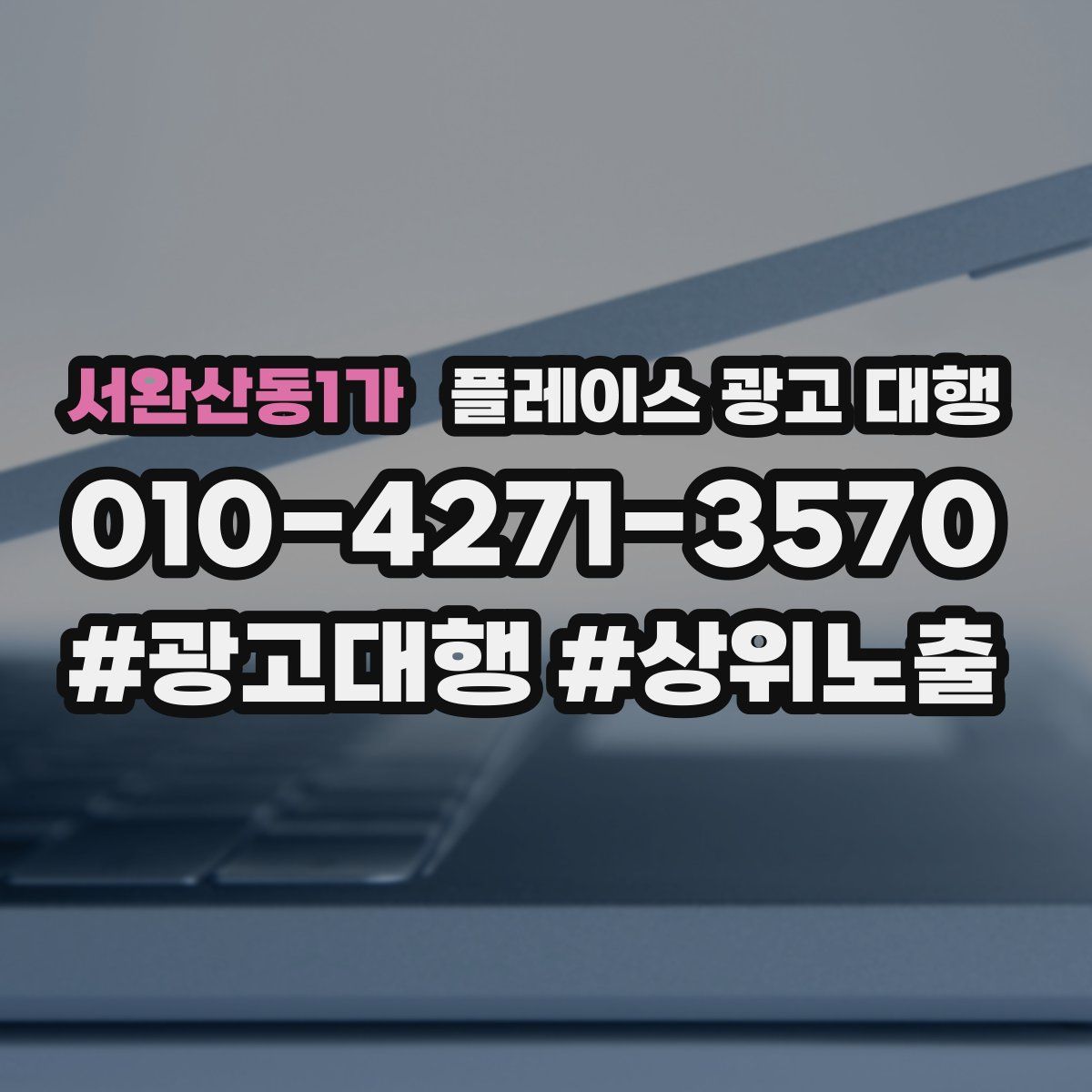 서완산동1가 플레이스 광고 대행