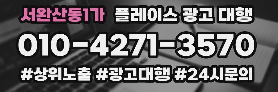 서완산동1가 플레이스 광고 대행