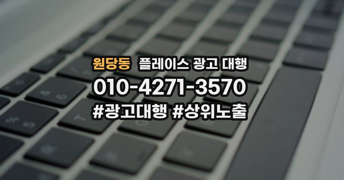 원당동 플레이스 광고 대행