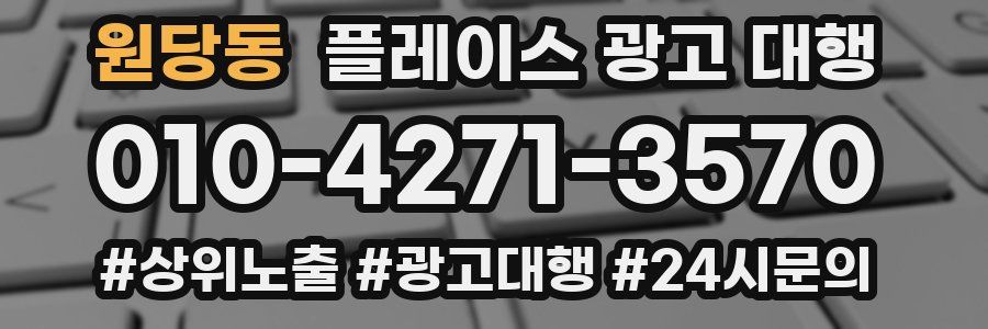 원당동 플레이스 광고 대행