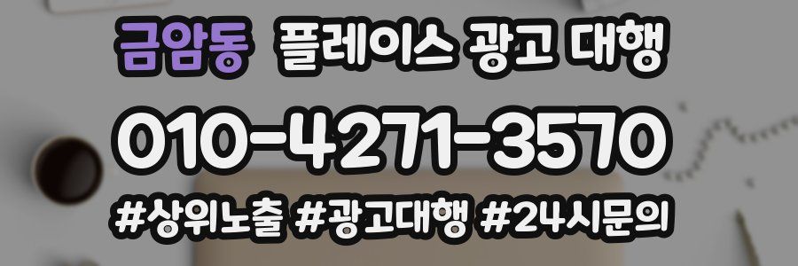 금암동 플레이스 광고 대행