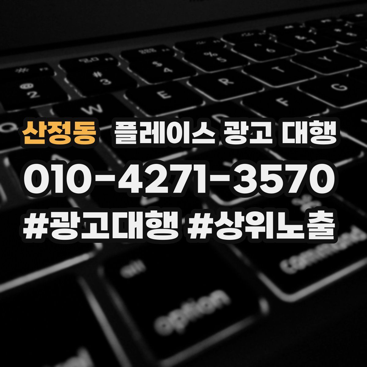 산정동 플레이스 광고 대행