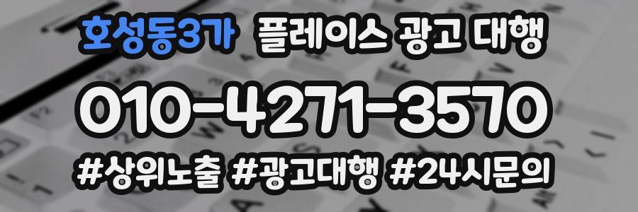 호성동3가 플레이스 광고 대행