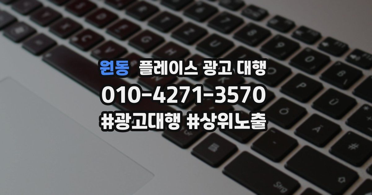 원동 플레이스 광고 대행