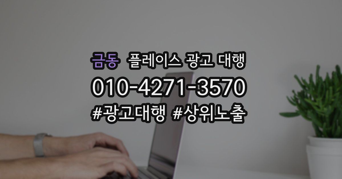 금동 플레이스 광고 대행