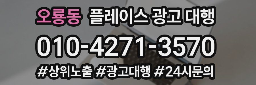 오룡동 플레이스 광고 대행