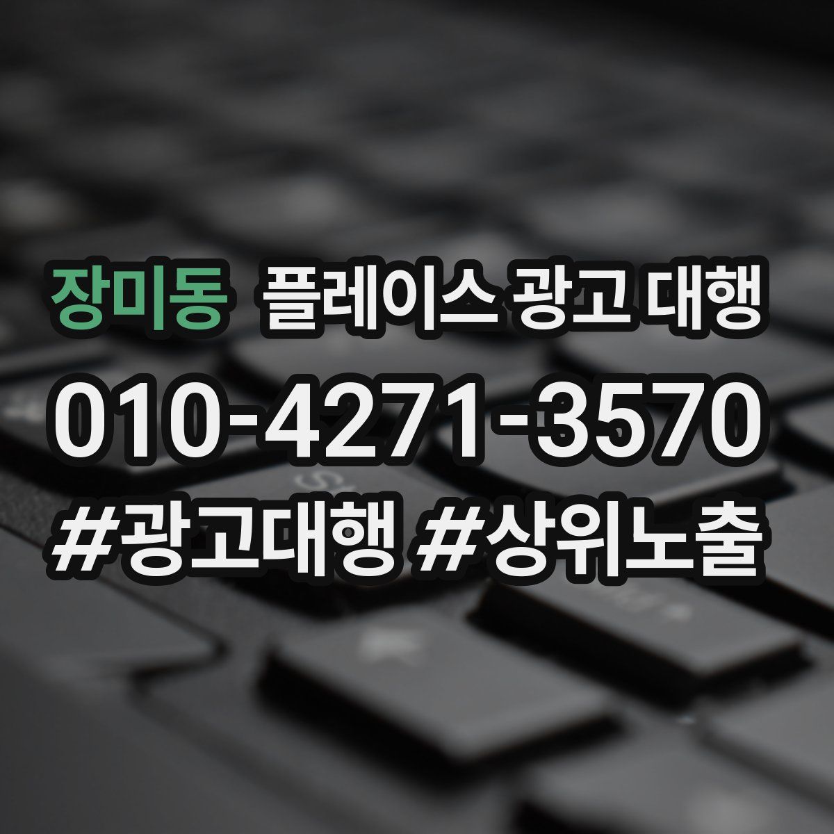 장미동 플레이스 광고 대행