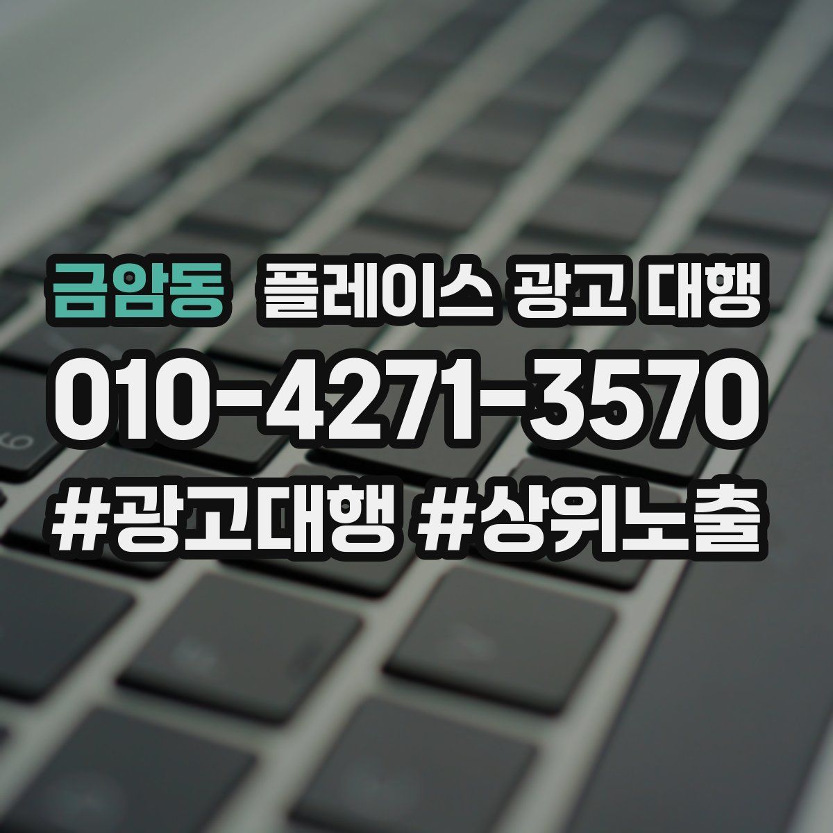 금암동 플레이스 광고 대행