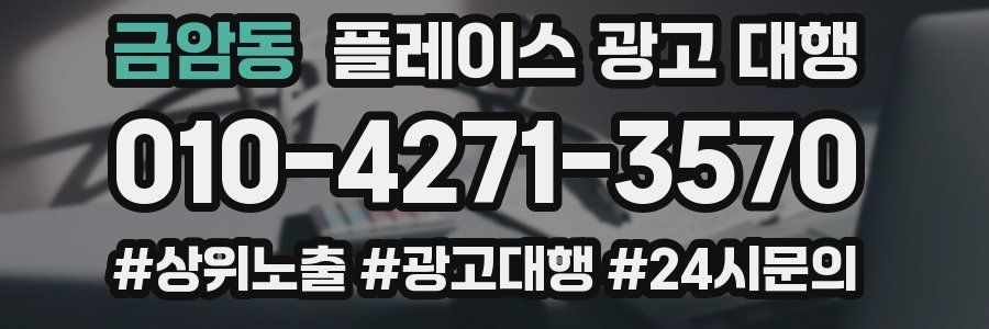 금암동 플레이스 광고 대행