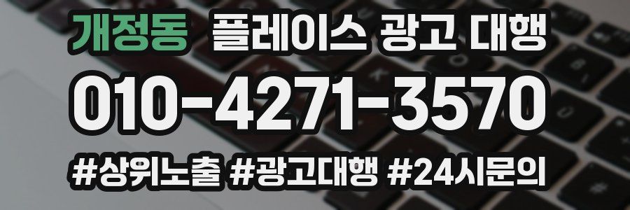 개정동 플레이스 광고 대행