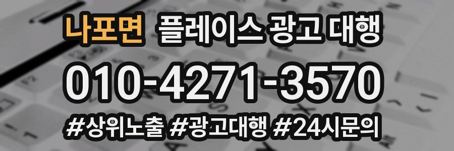 나포면 플레이스 광고 대행