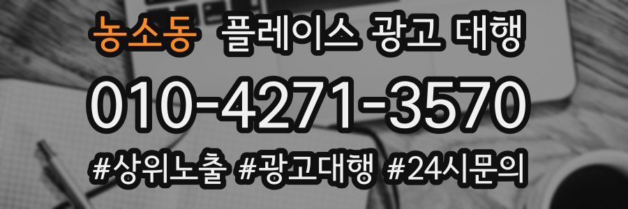 농소동 플레이스 광고 대행