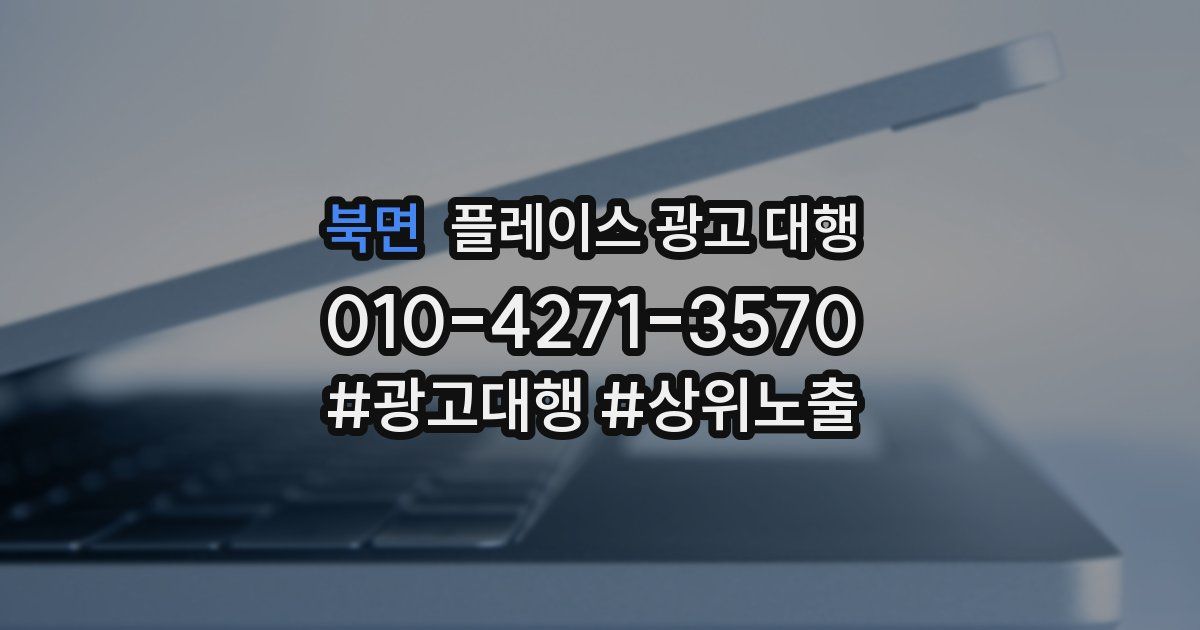 북면 플레이스 광고 대행