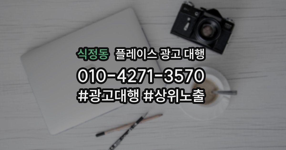 식정동 플레이스 광고 대행