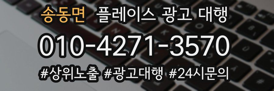 송동면 플레이스 광고 대행
