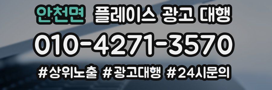 안천면 플레이스 광고 대행