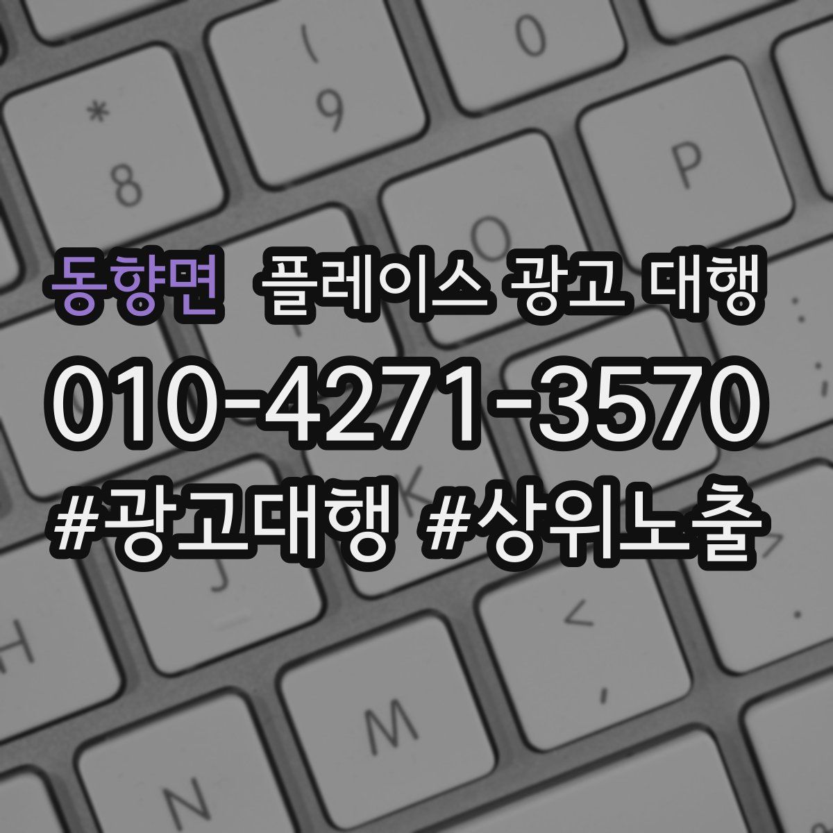 동향면 플레이스 광고 대행