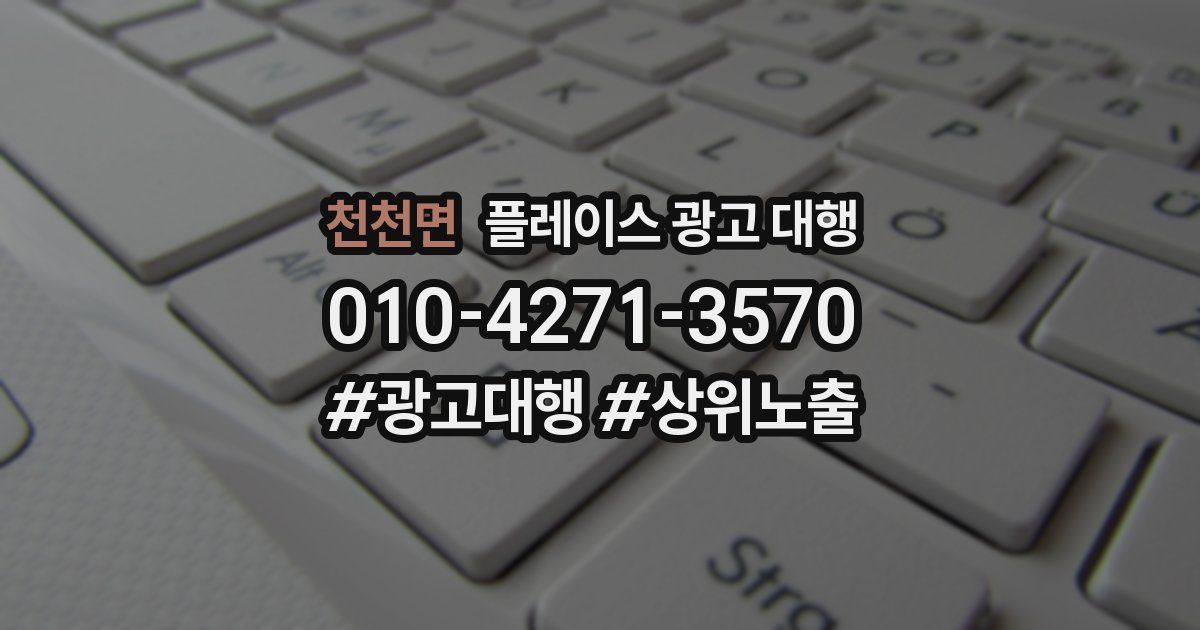 천천면 플레이스 광고 대행