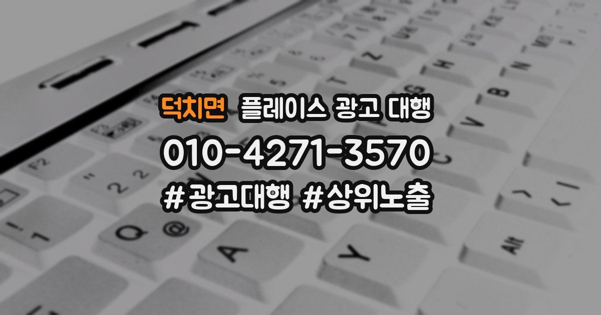 덕치면 플레이스 광고 대행