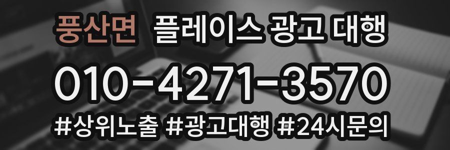 풍산면 플레이스 광고 대행