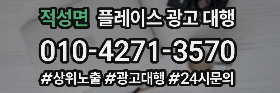 적성면 플레이스 광고 대행