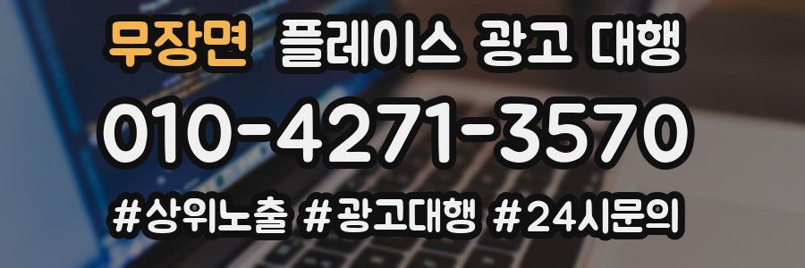 무장면 플레이스 광고 대행