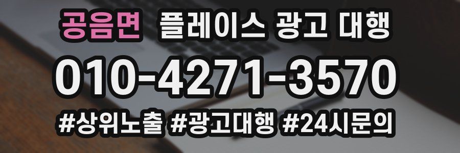 공음면 플레이스 광고 대행