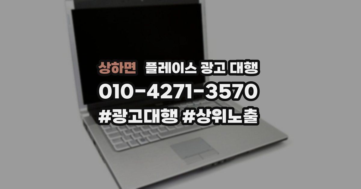 상하면 플레이스 광고 대행