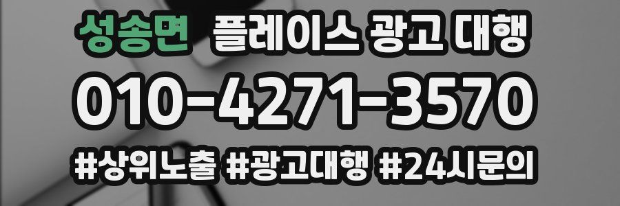 성송면 플레이스 광고 대행