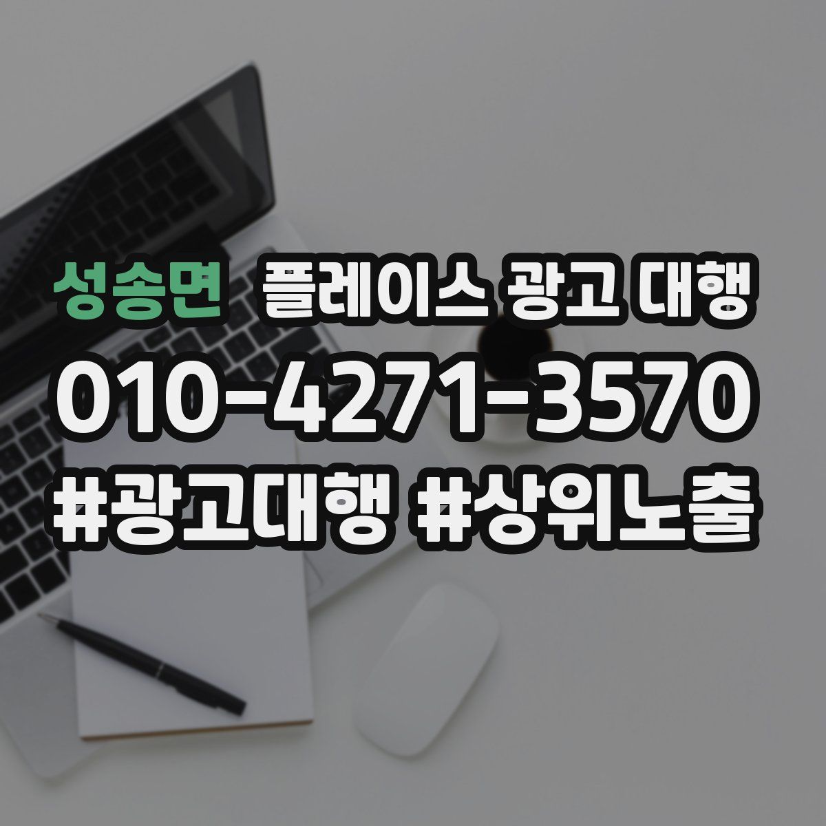 성송면 플레이스 광고 대행