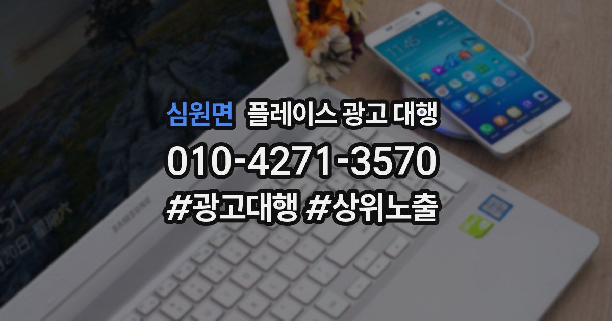 심원면 플레이스 광고 대행