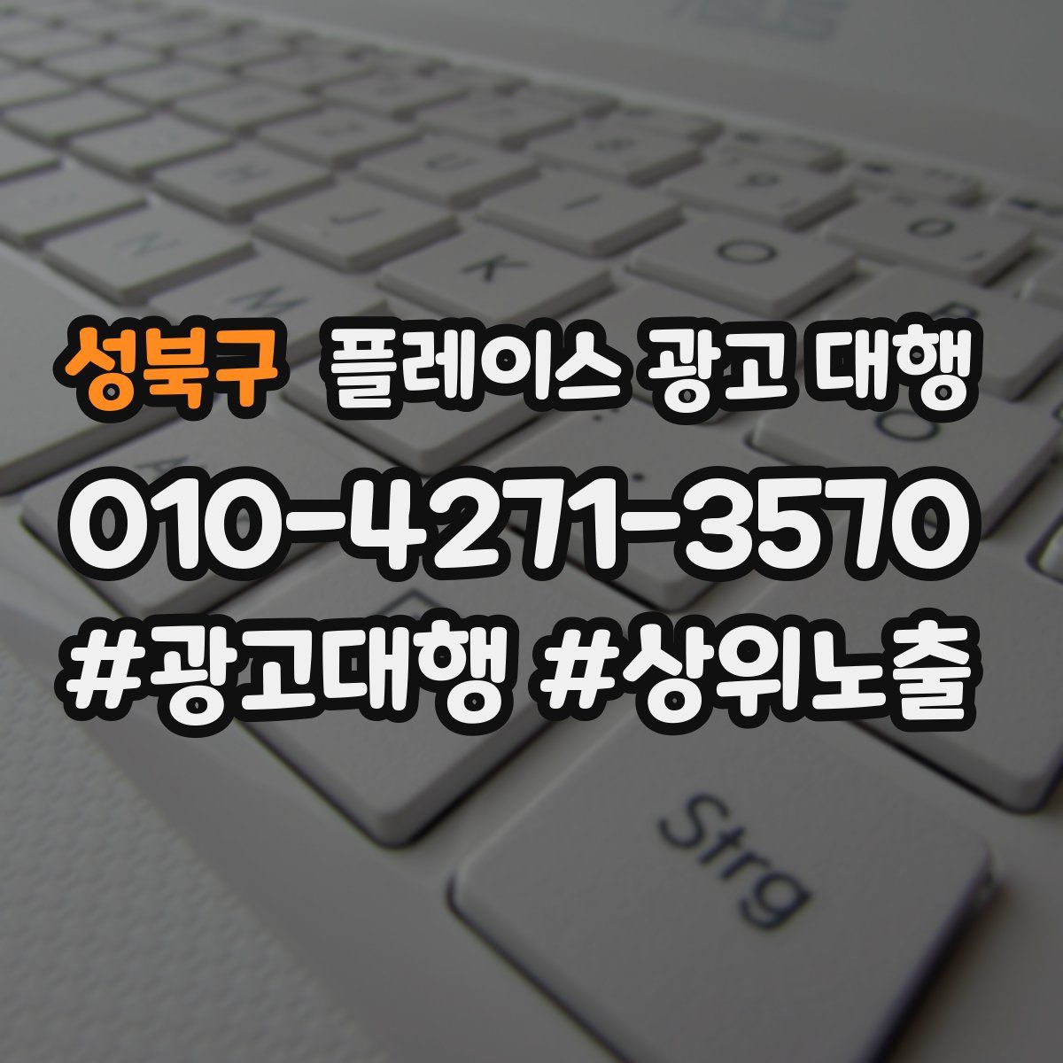 성북구 플레이스 광고 대행