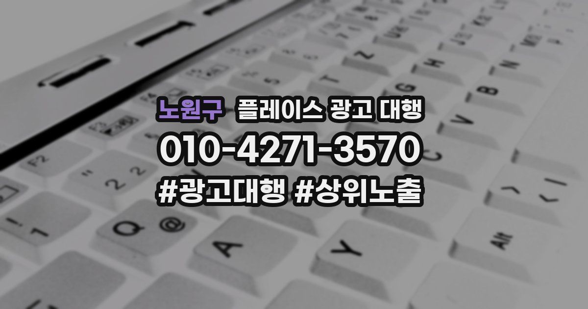 노원구 플레이스 광고 대행
