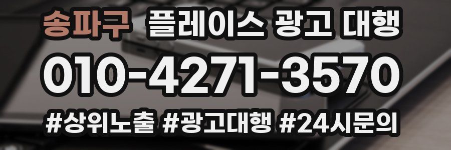 송파구 플레이스 광고 대행