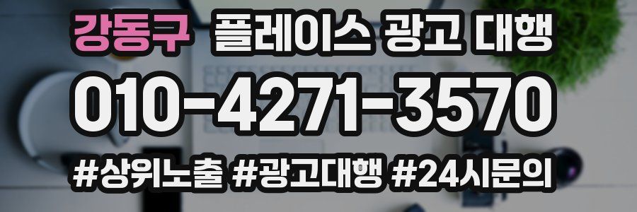강동구 플레이스 광고 대행