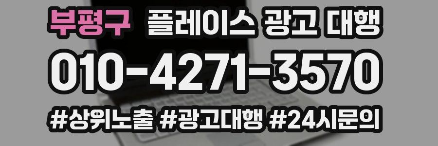 부평구 플레이스 광고 대행