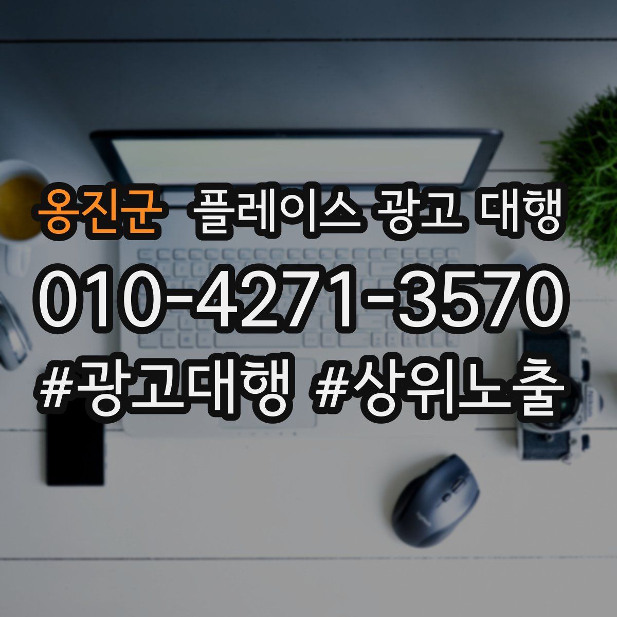 옹진군 플레이스 광고 대행