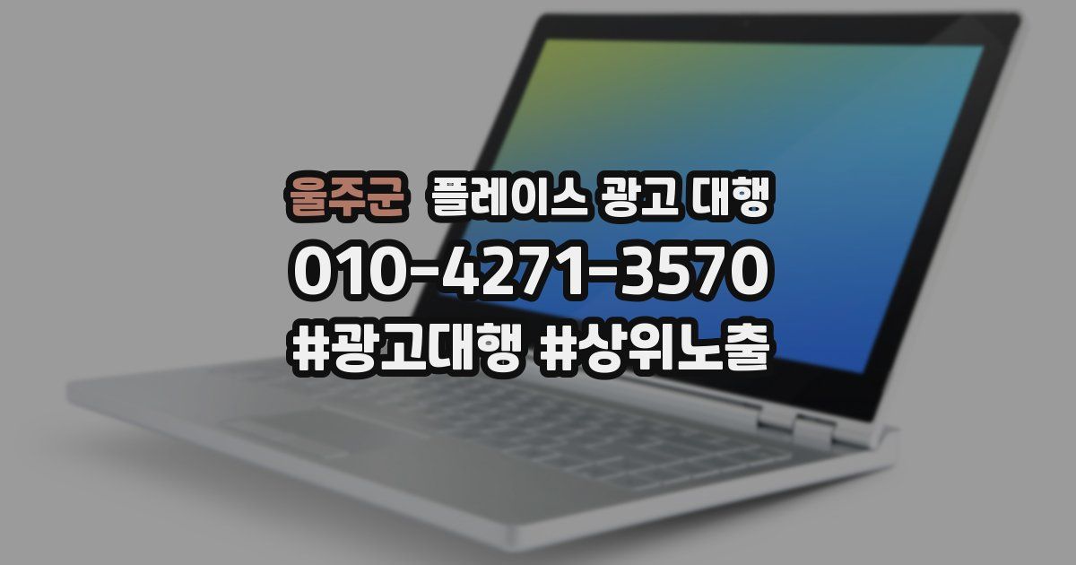 울주군 플레이스 광고 대행