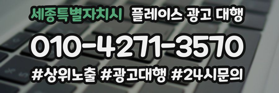 세종특별자치시 플레이스 광고 대행