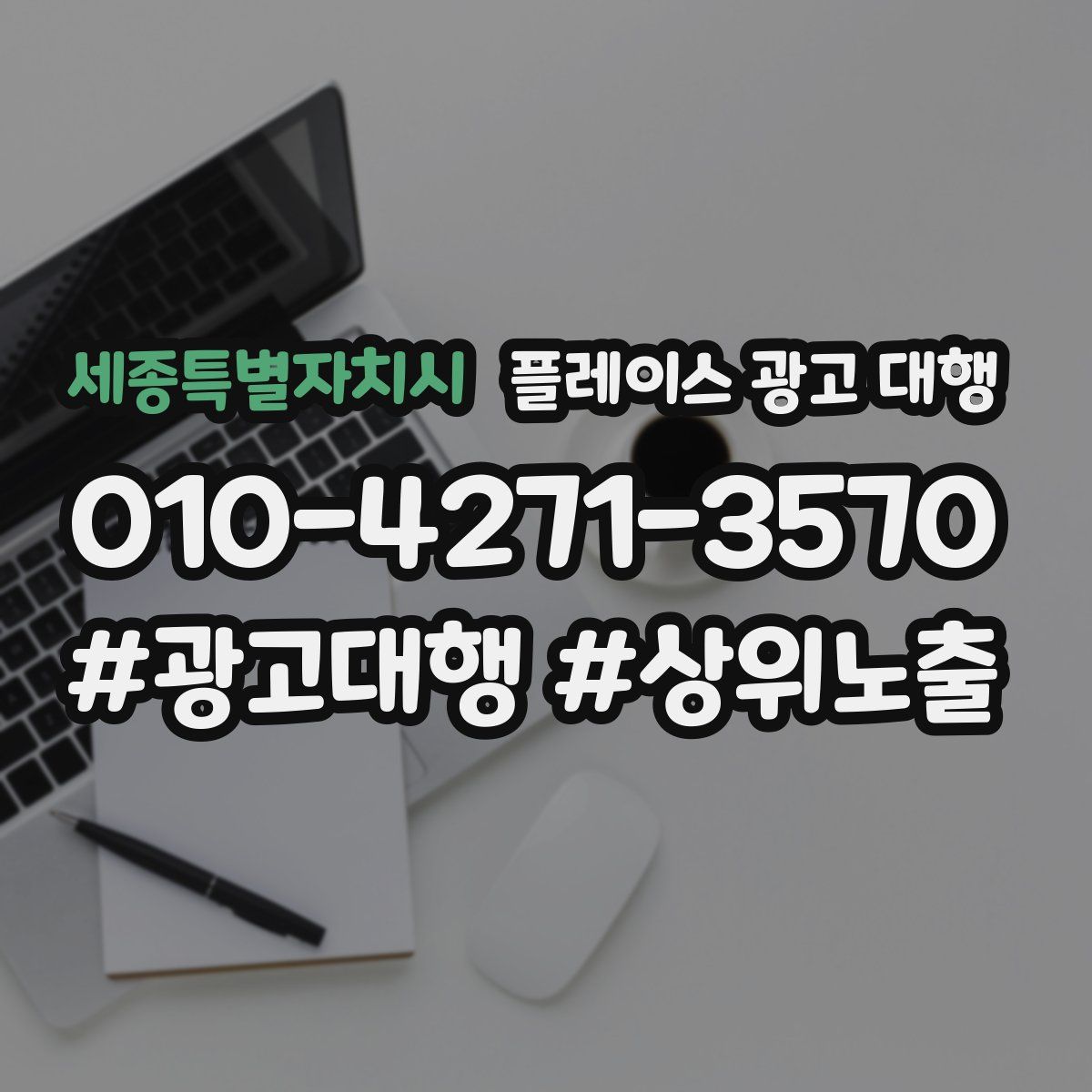 세종특별자치시 플레이스 광고 대행