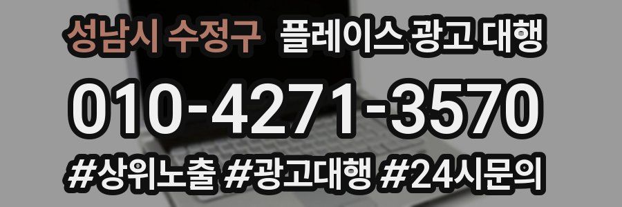 성남시 수정구 플레이스 광고 대행