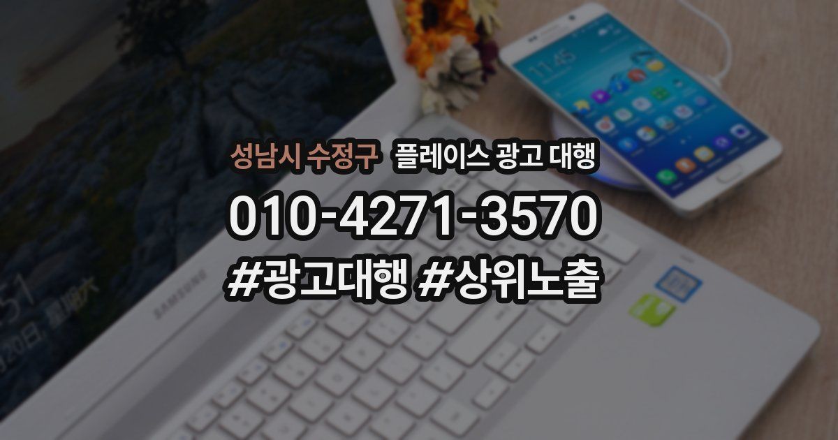 성남시 수정구 플레이스 광고 대행